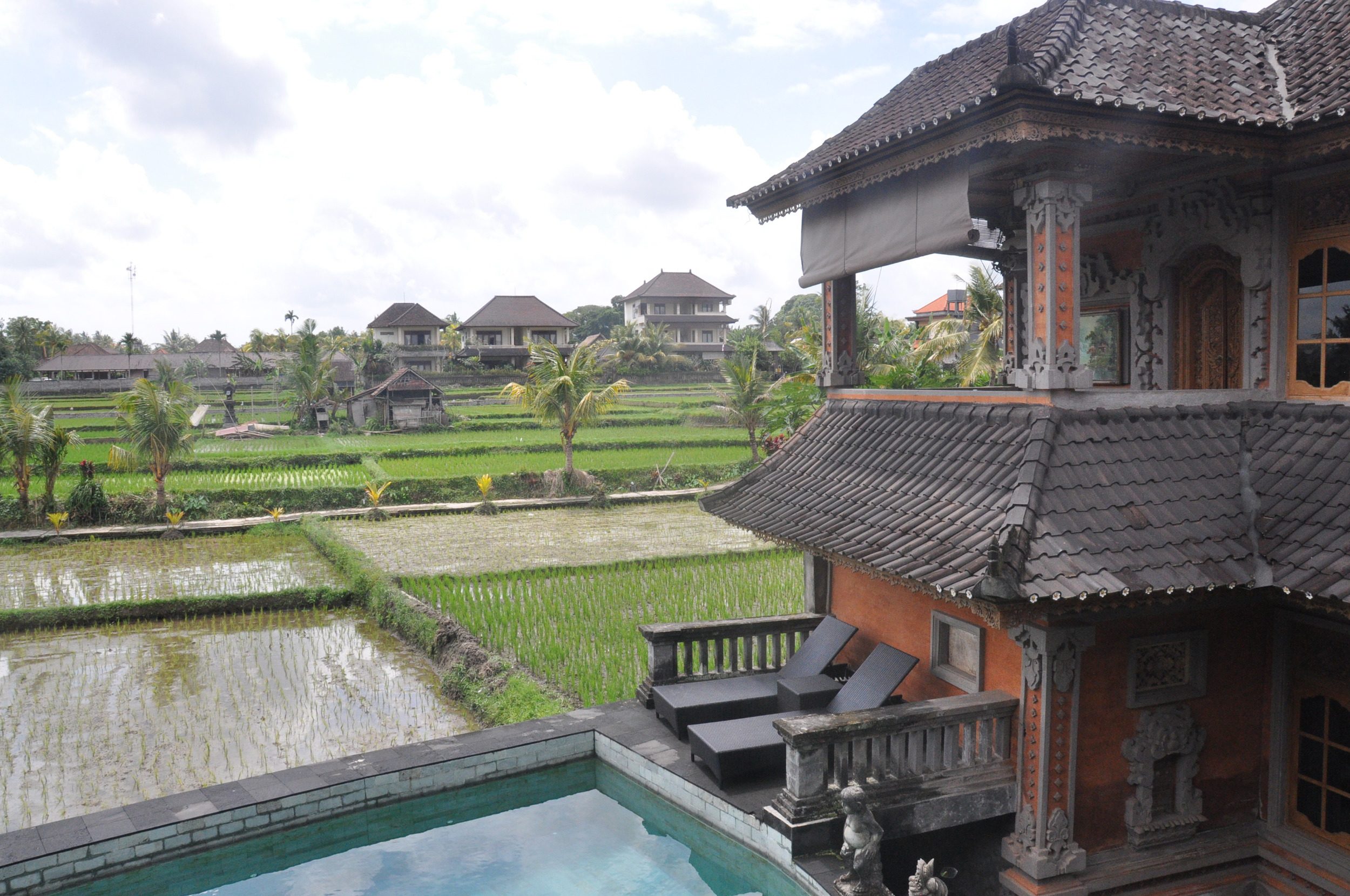 在巴厘岛阿拉的绿色泻湖宾馆乌布要做的事情