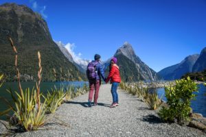 南岛+ + +新西兰+行程+路+旅游+米尔福德+声音