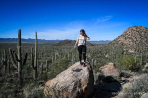 事情s to do in Tucson Saguaro National Park