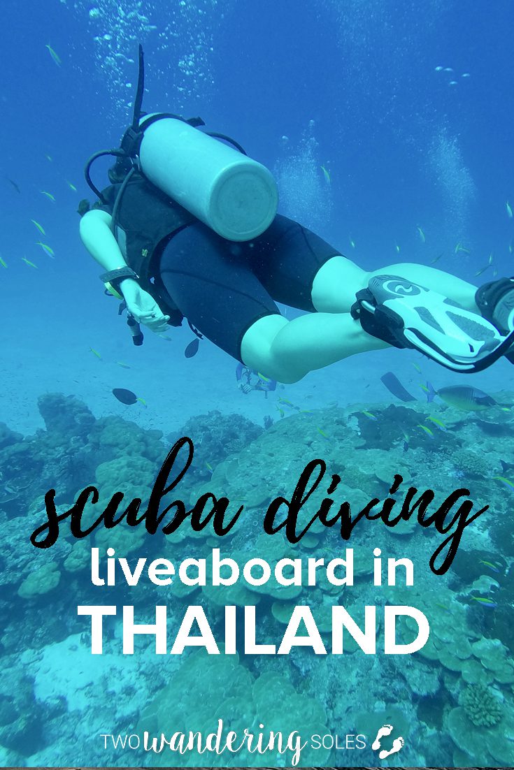 3天泰国思米兰岛船宿潜水之旅