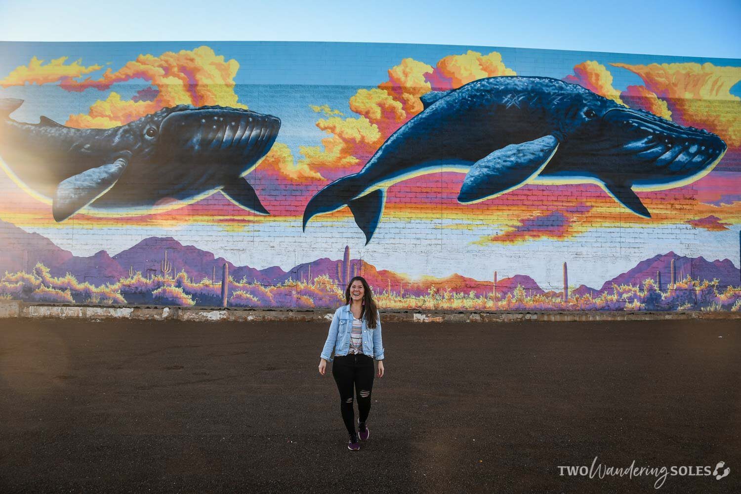 鲸鱼壁画图森街头艺术