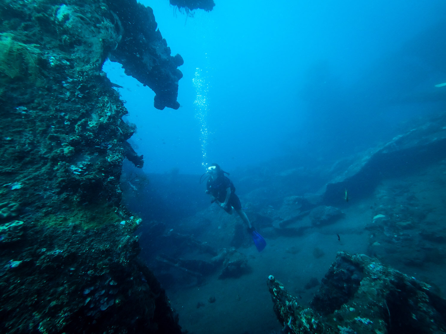 阿米德巴厘岛水肺潜水USAT自由潜水