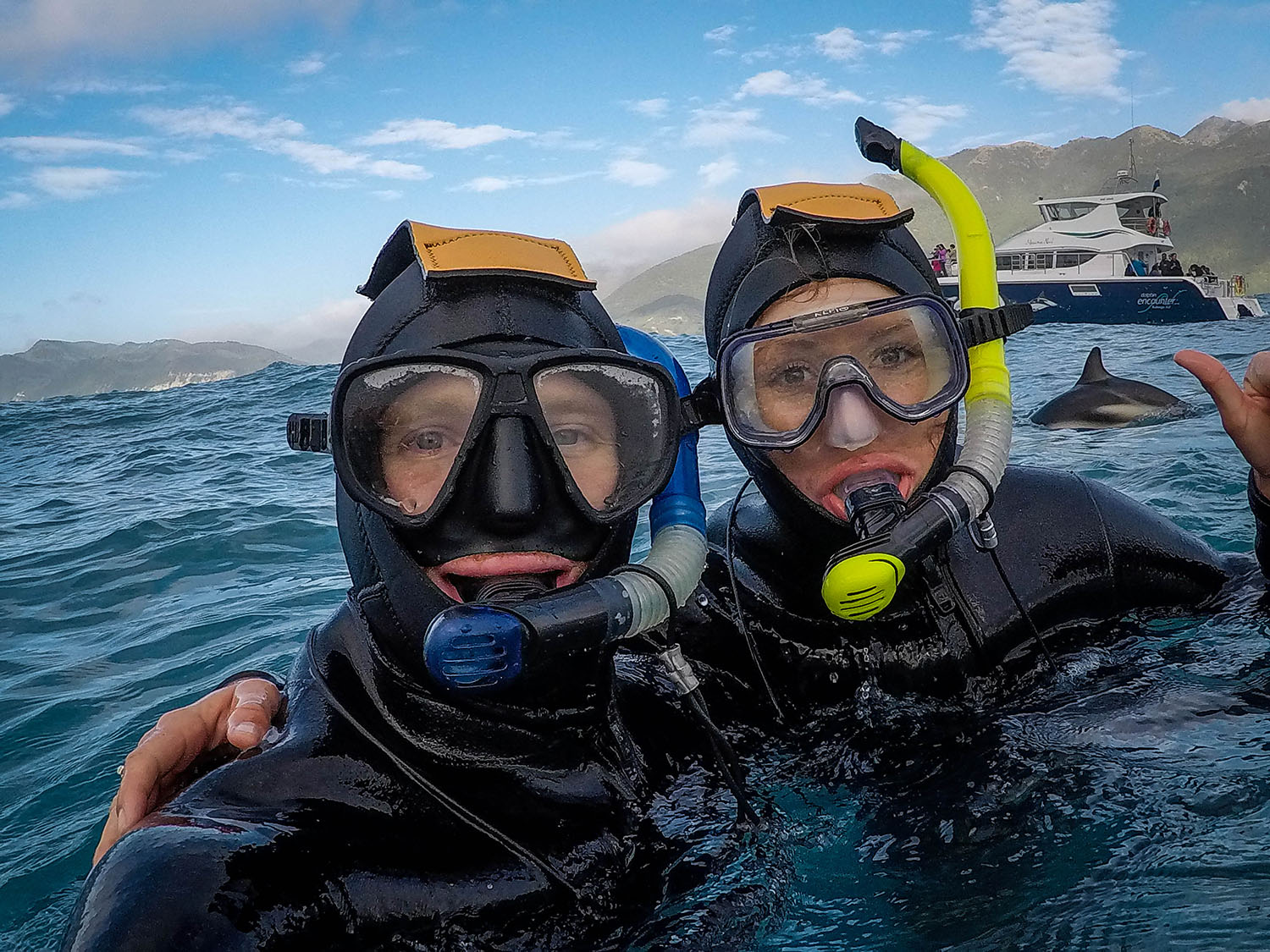 在新西兰的Kiakora和海豚一起游泳