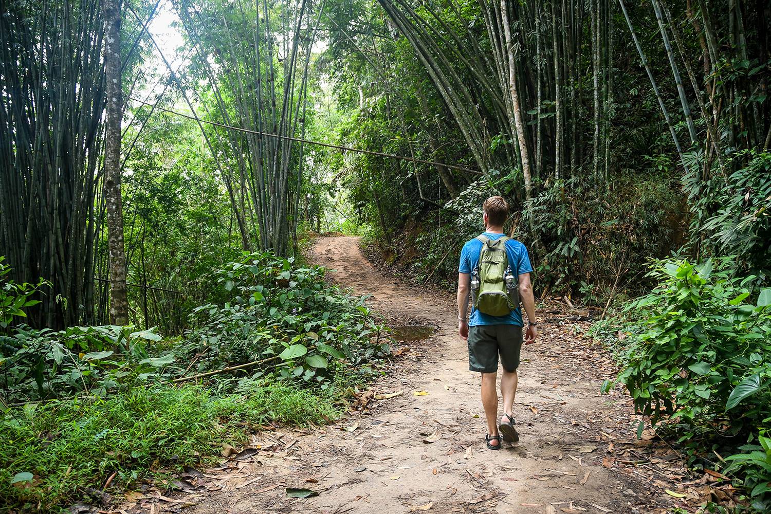 考索国家公园旅行指南徒步竹林华体会最新登录网站