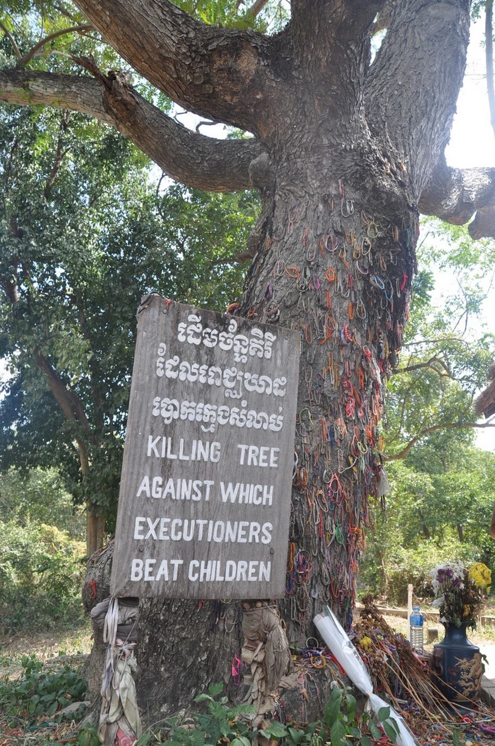 红色高棉在金边杀死树木