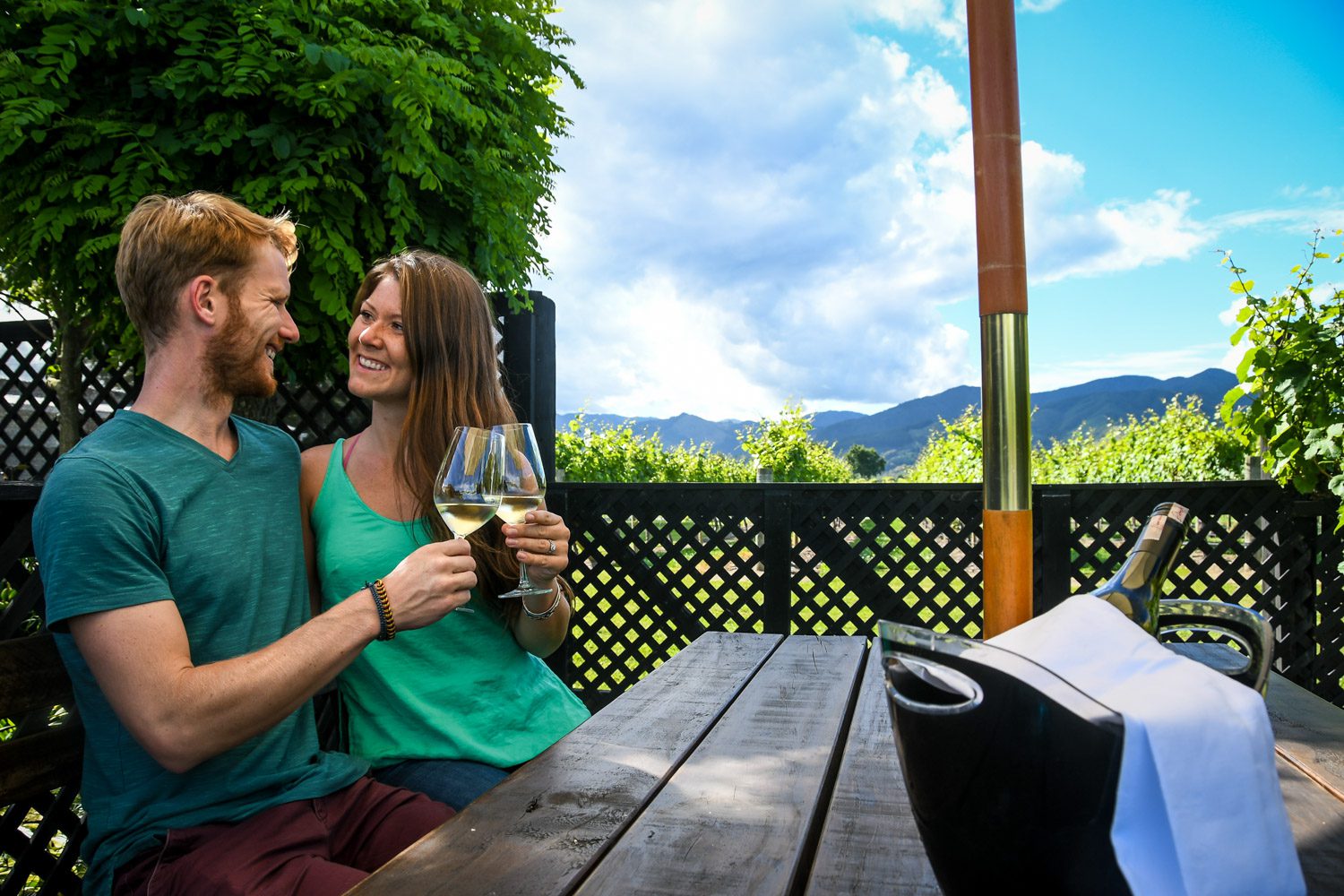 Top Things to Do in New Zealand Wine Tasting