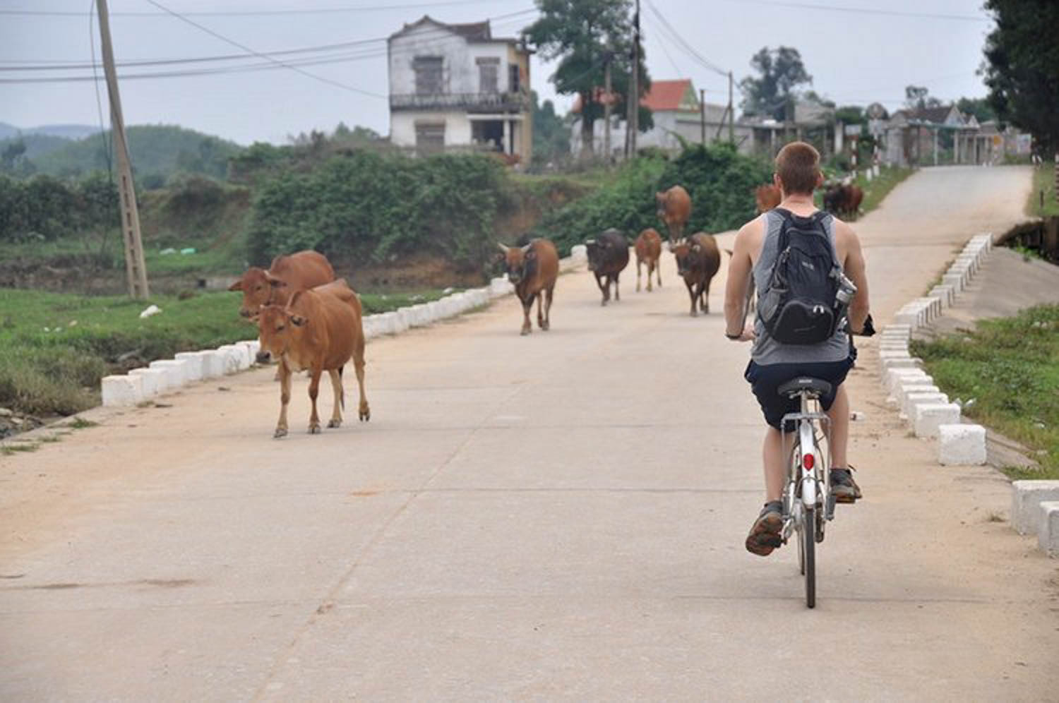 可持续旅游的自行车华体会最新登录网站