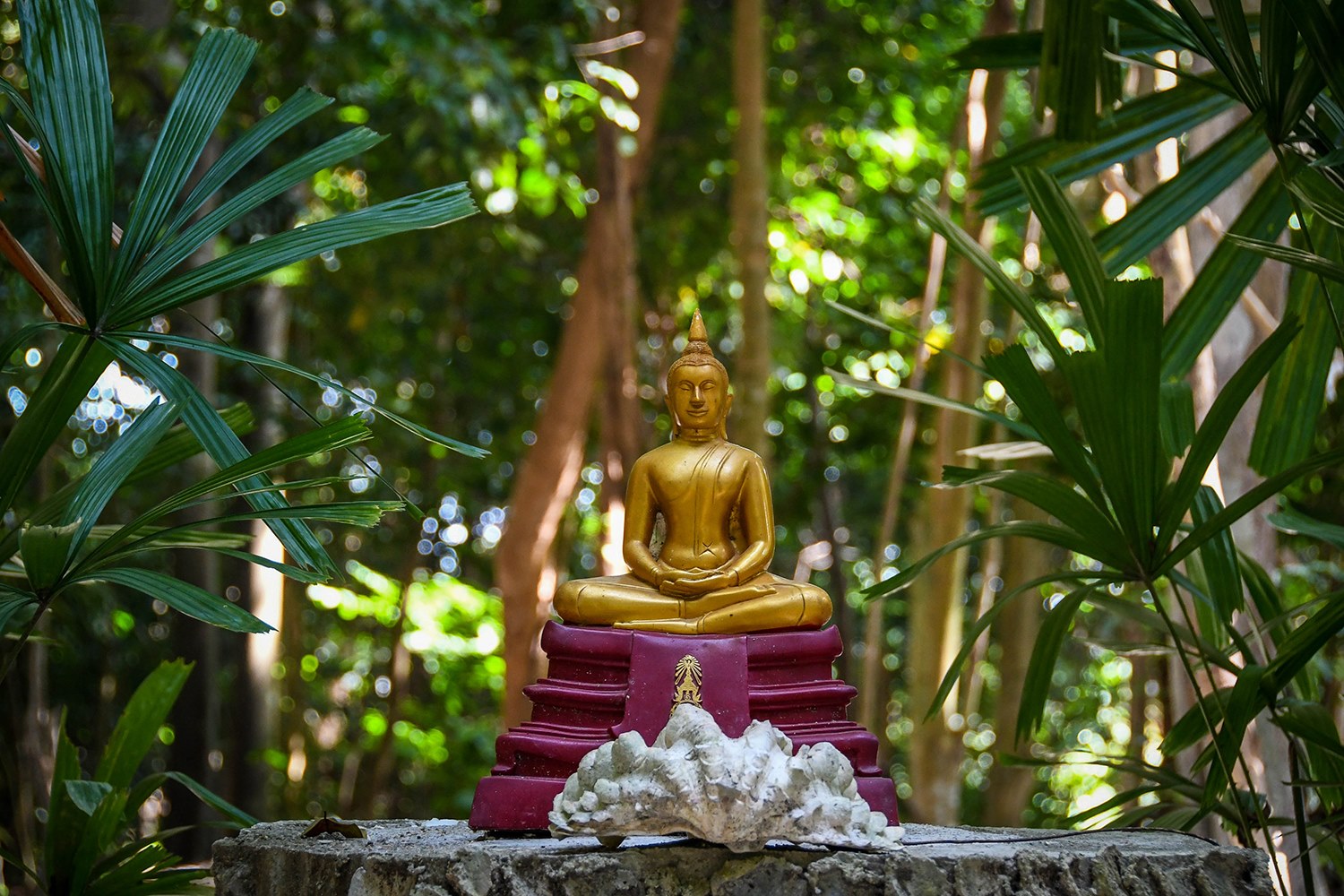 在泰国利佩岛可以做的事情佛教寺庙佛祖