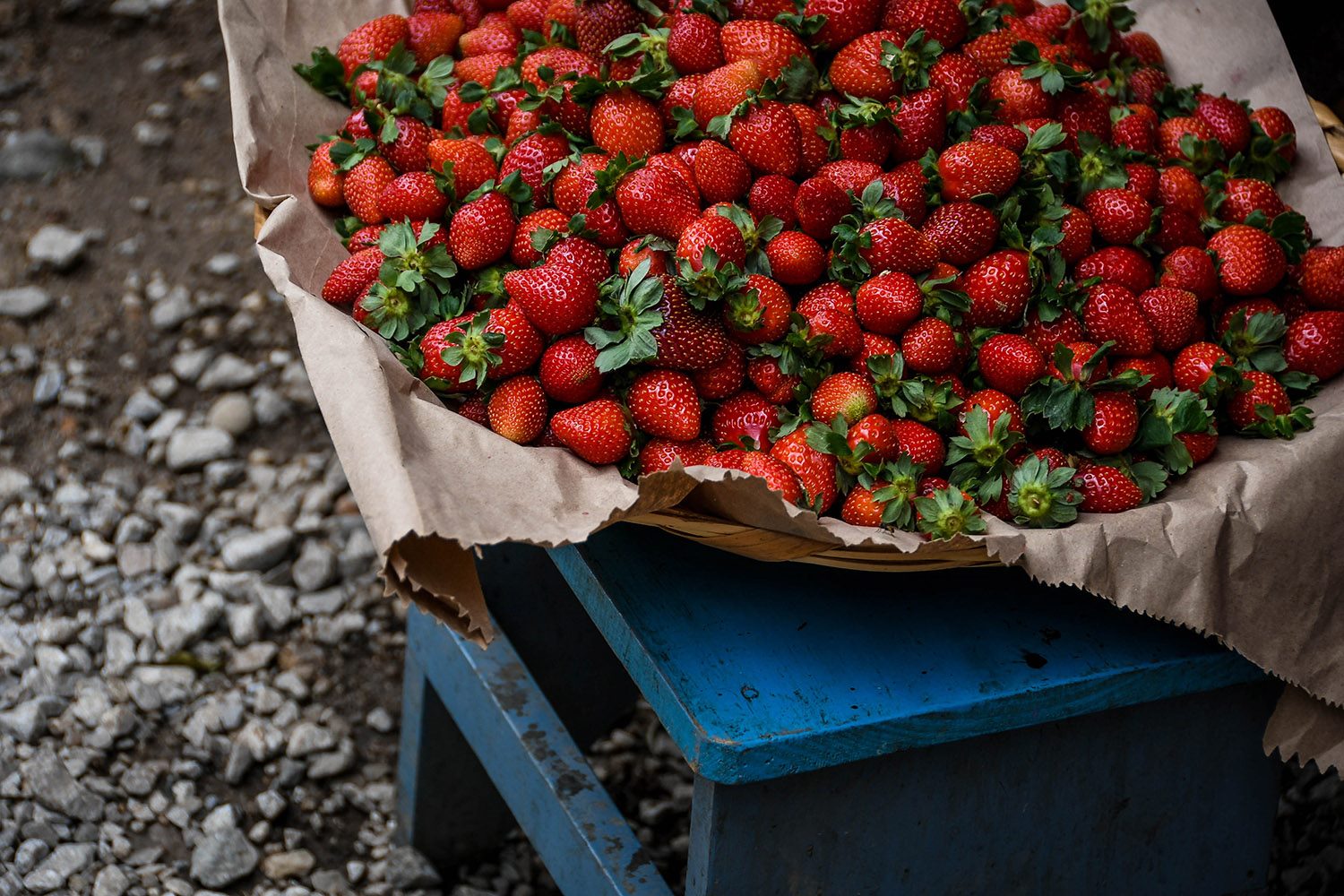 在瓦哈卡要做的事探索市场有机市场草莓