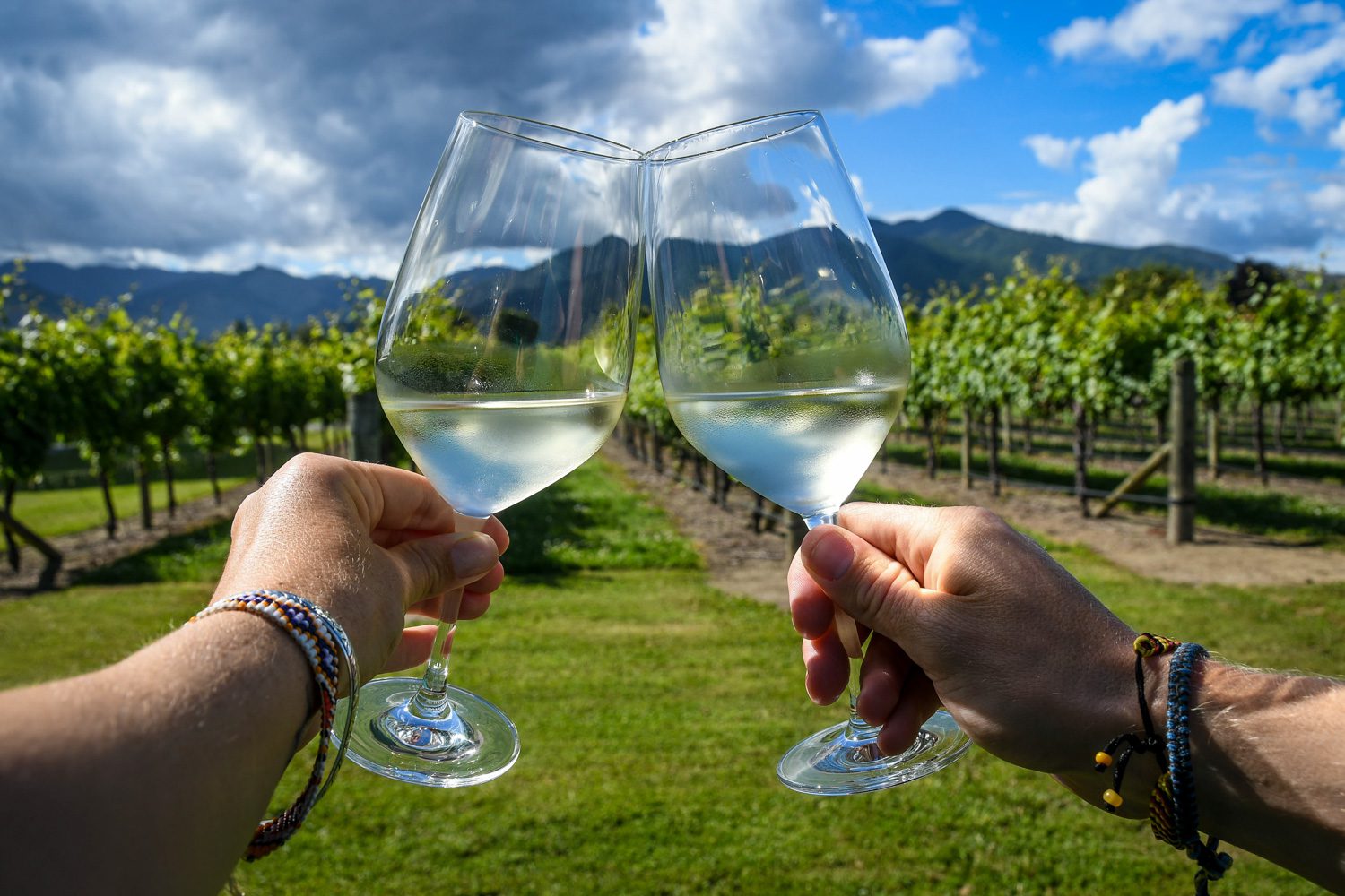 Top Things to Do in New Zealand Wine Tasting Cheers