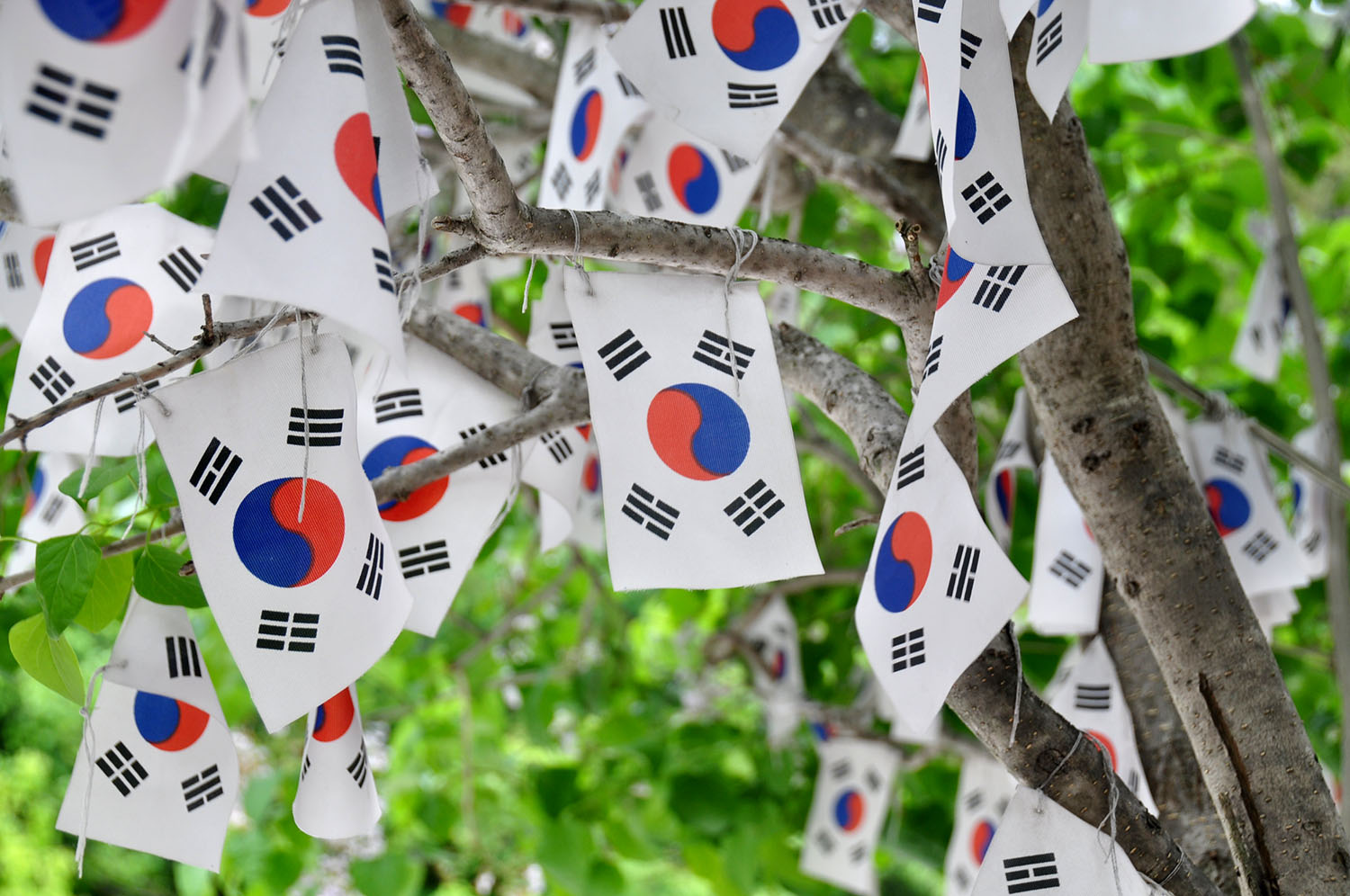 TEFL认证海外英语教学韩国国旗
