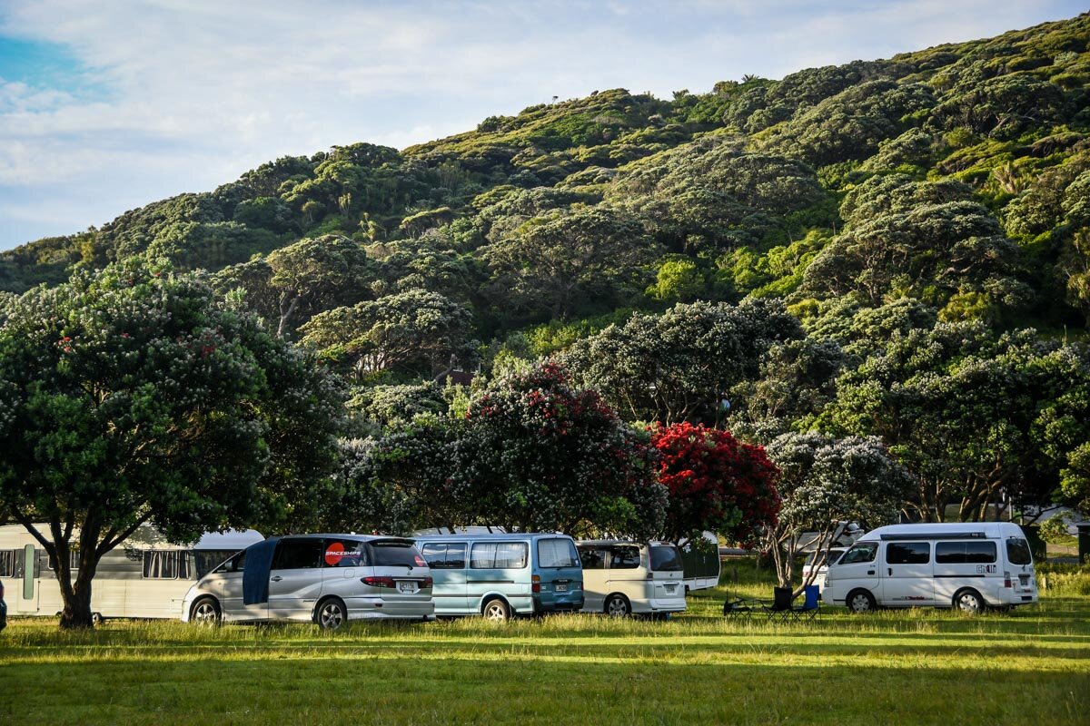 新西兰Campsites: Piha Domain Motor Park