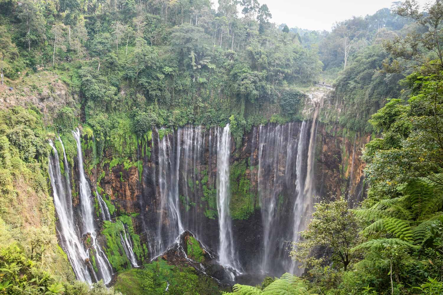 在爪哇Tumpak Sewu瀑布要做的事情