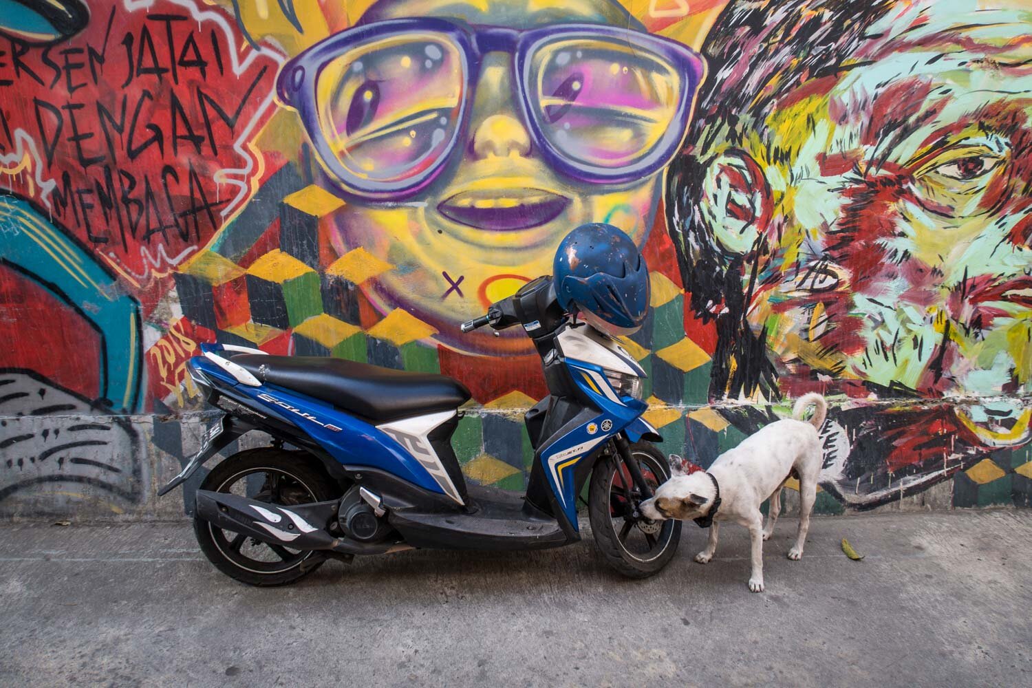日惹的摩托车和狗