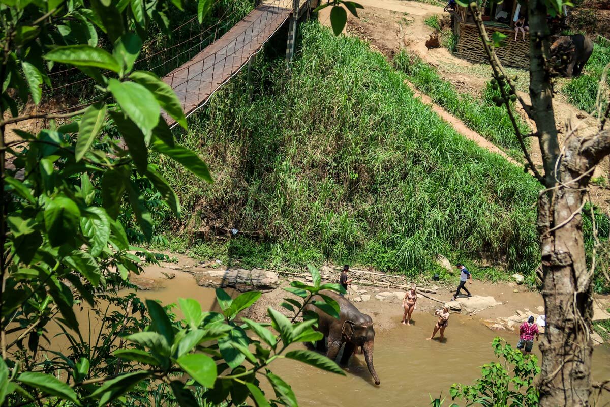 清迈的竹筏|河上的大象营地