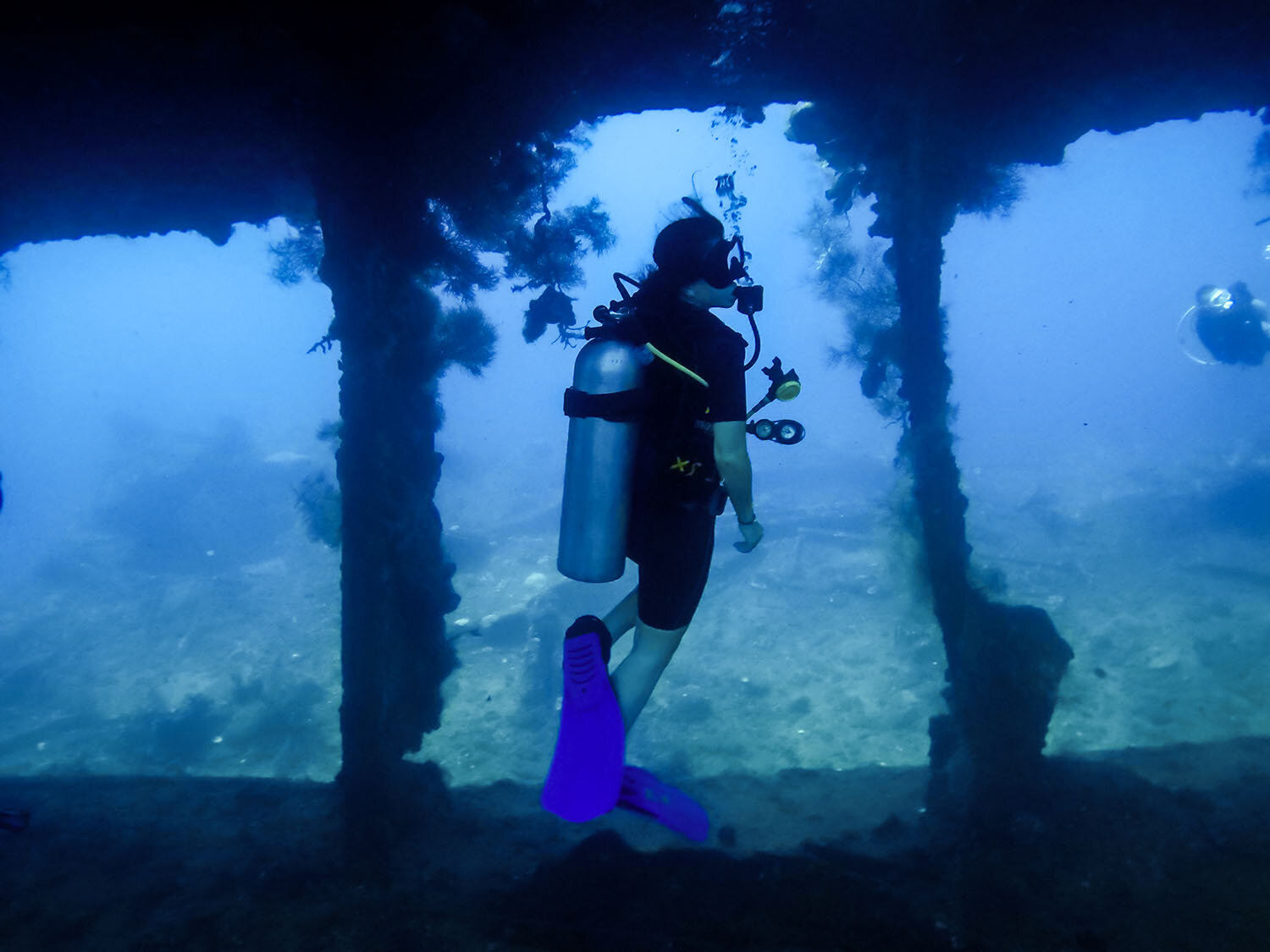 阿米德巴厘岛水肺潜水USAT自由