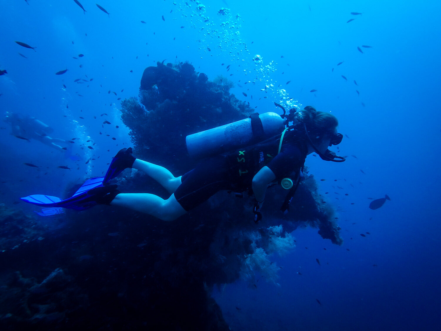 阿米德巴厘岛水肺潜水USAT自由沉船潜水