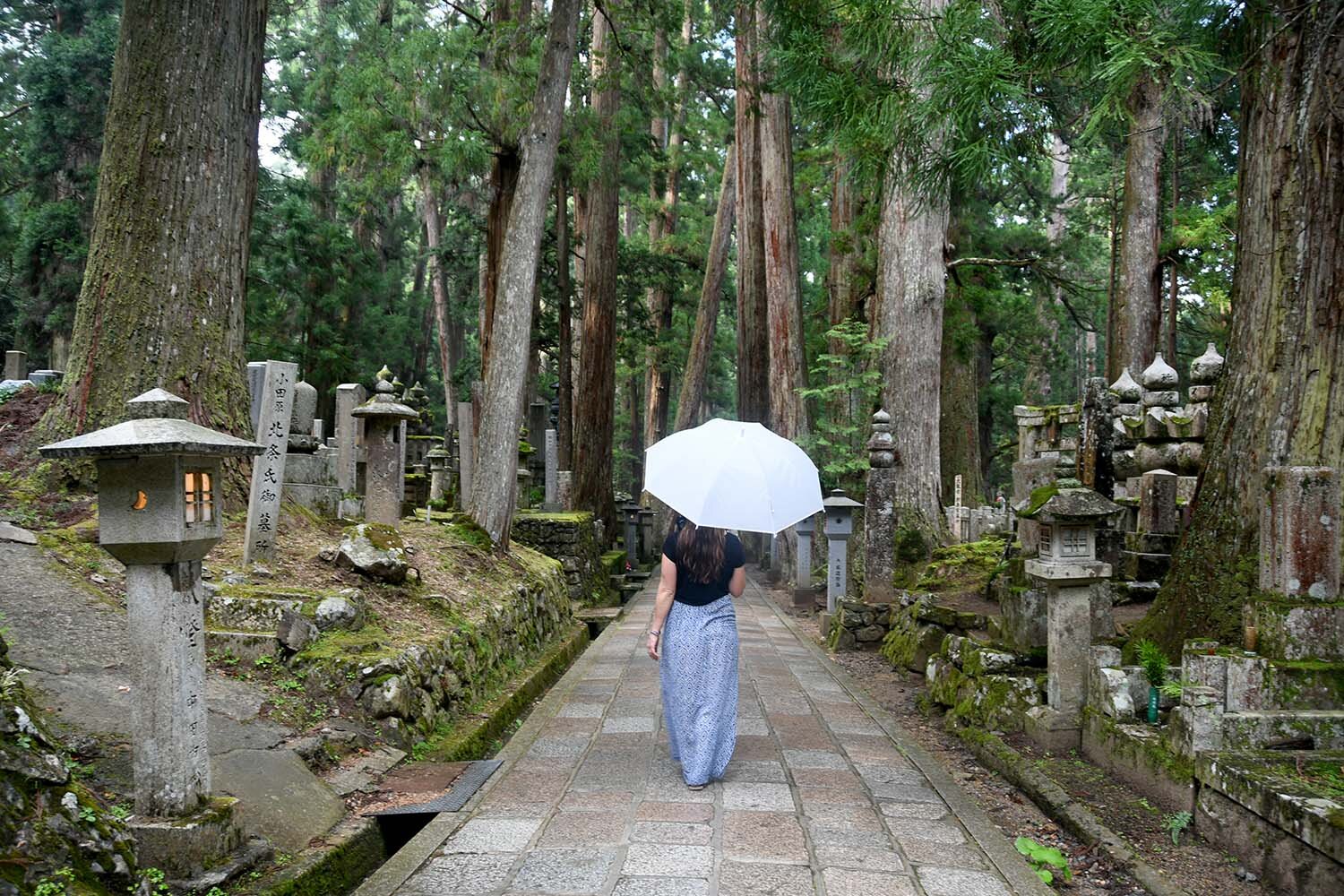 日本纪念品雨伞在佛教墓地