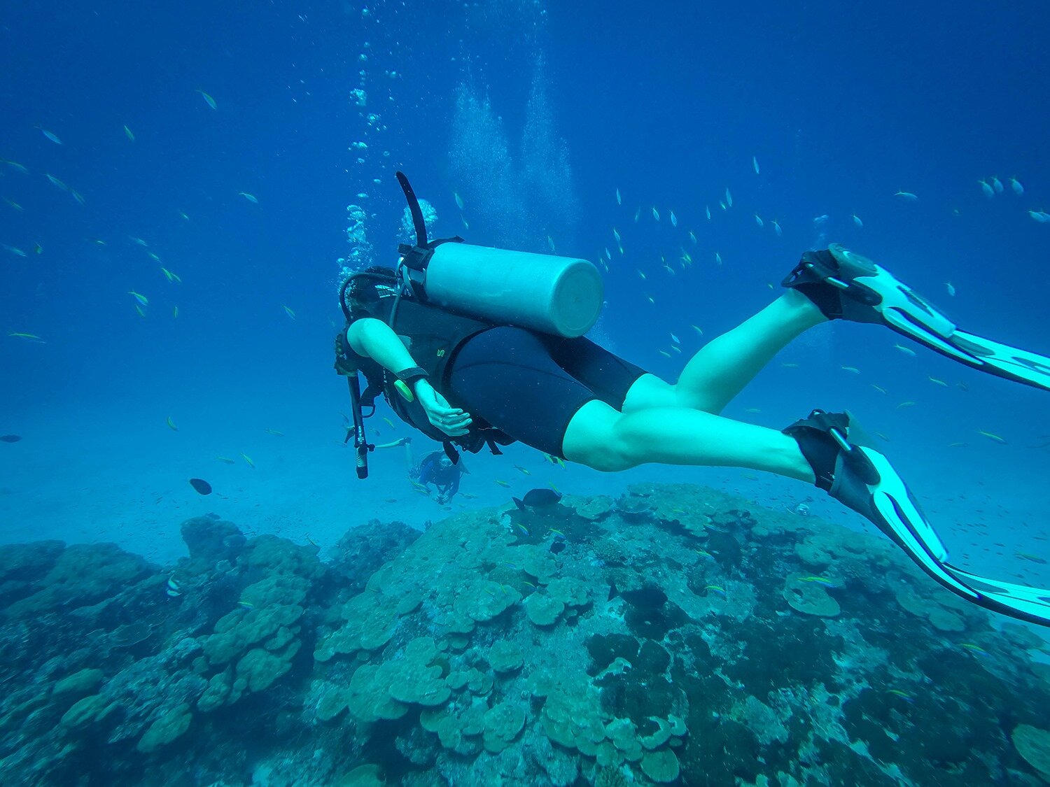 泰国最佳潜水船|斯米兰群岛潜水