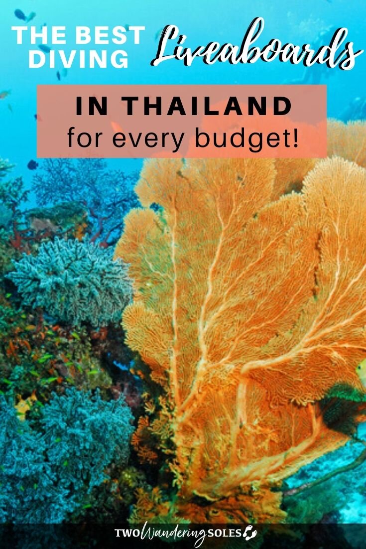泰国最好的潜水船|两个流浪鞋底华体会吧