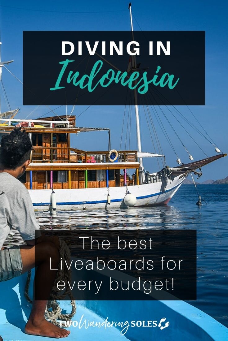 印度尼西亚最佳潜水船|两个流浪鞋底华体会吧