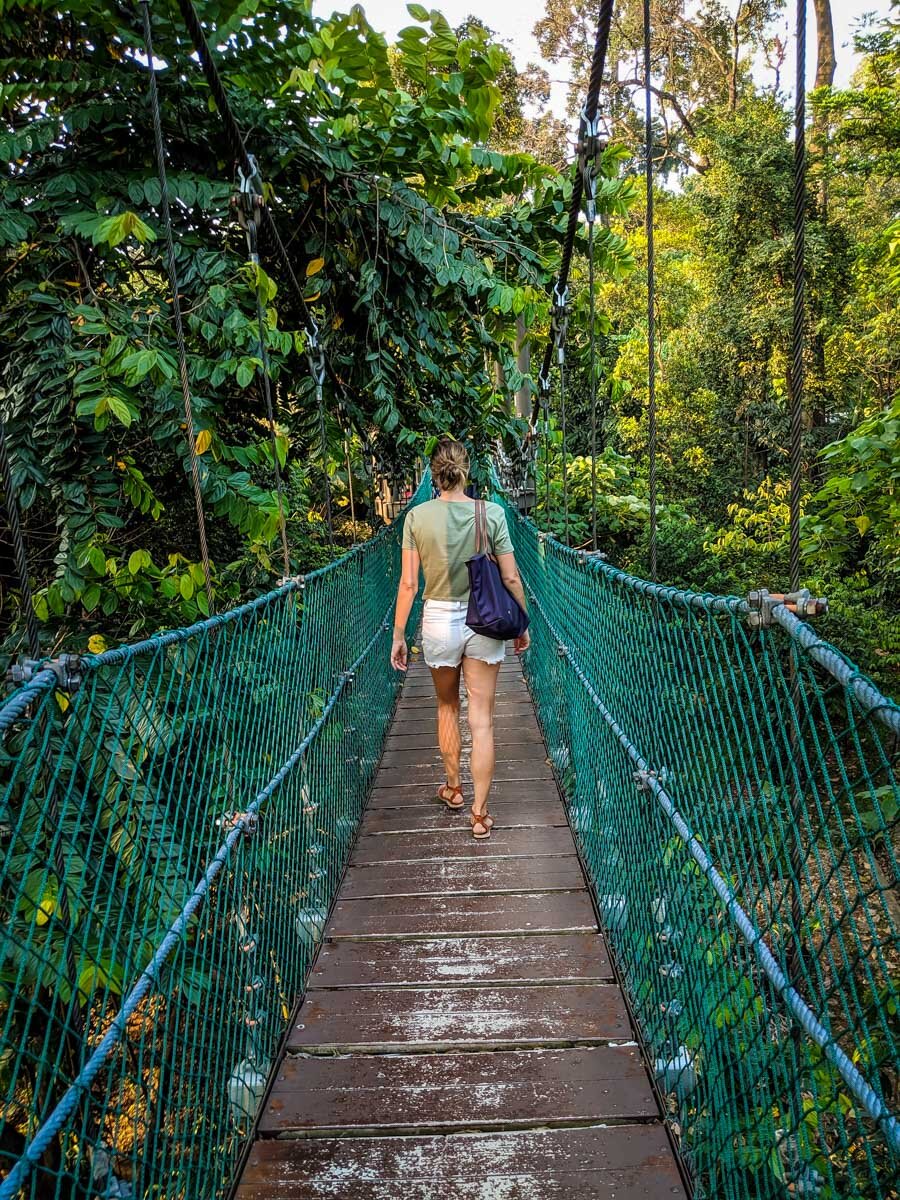 吉隆坡的事情|吉隆坡森林生态公园的吊桥;图片来自编辑Amanda Pointer