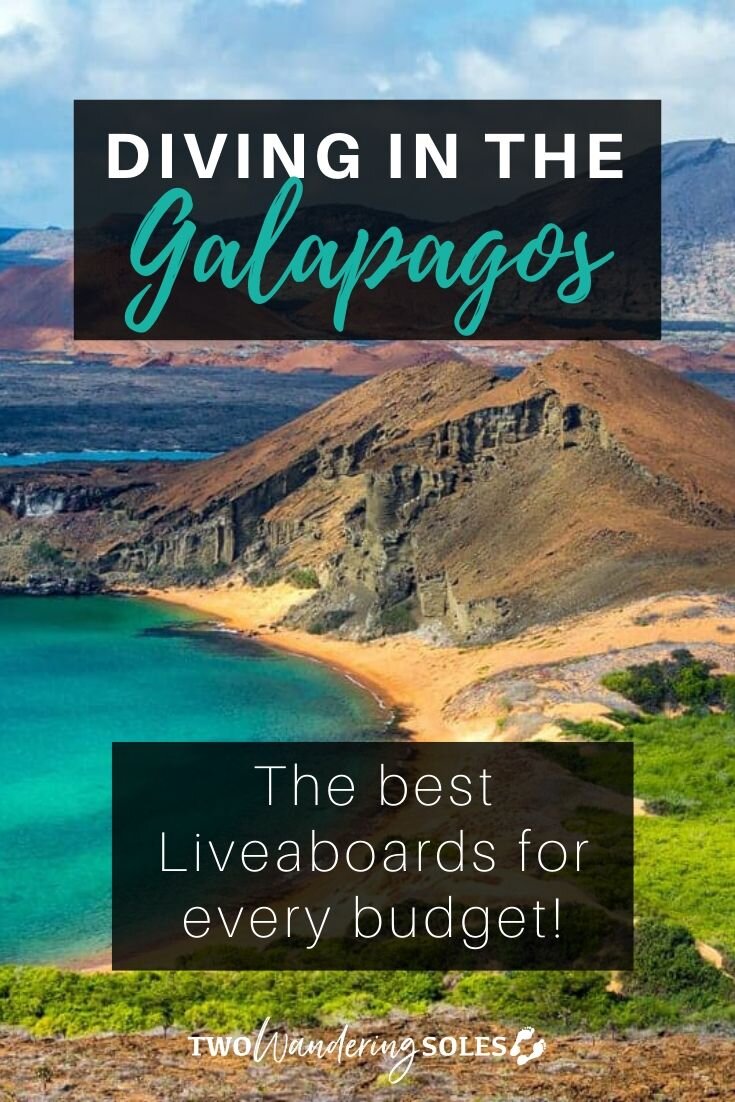 加拉帕戈斯群岛最佳潜水船|两个流浪的鞋底华体会吧