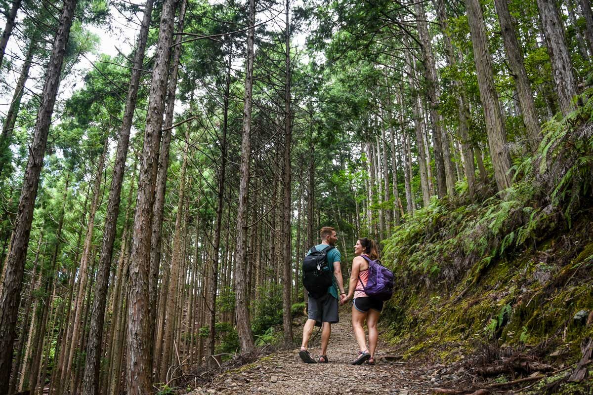 熊野Kodo Trail Trek 