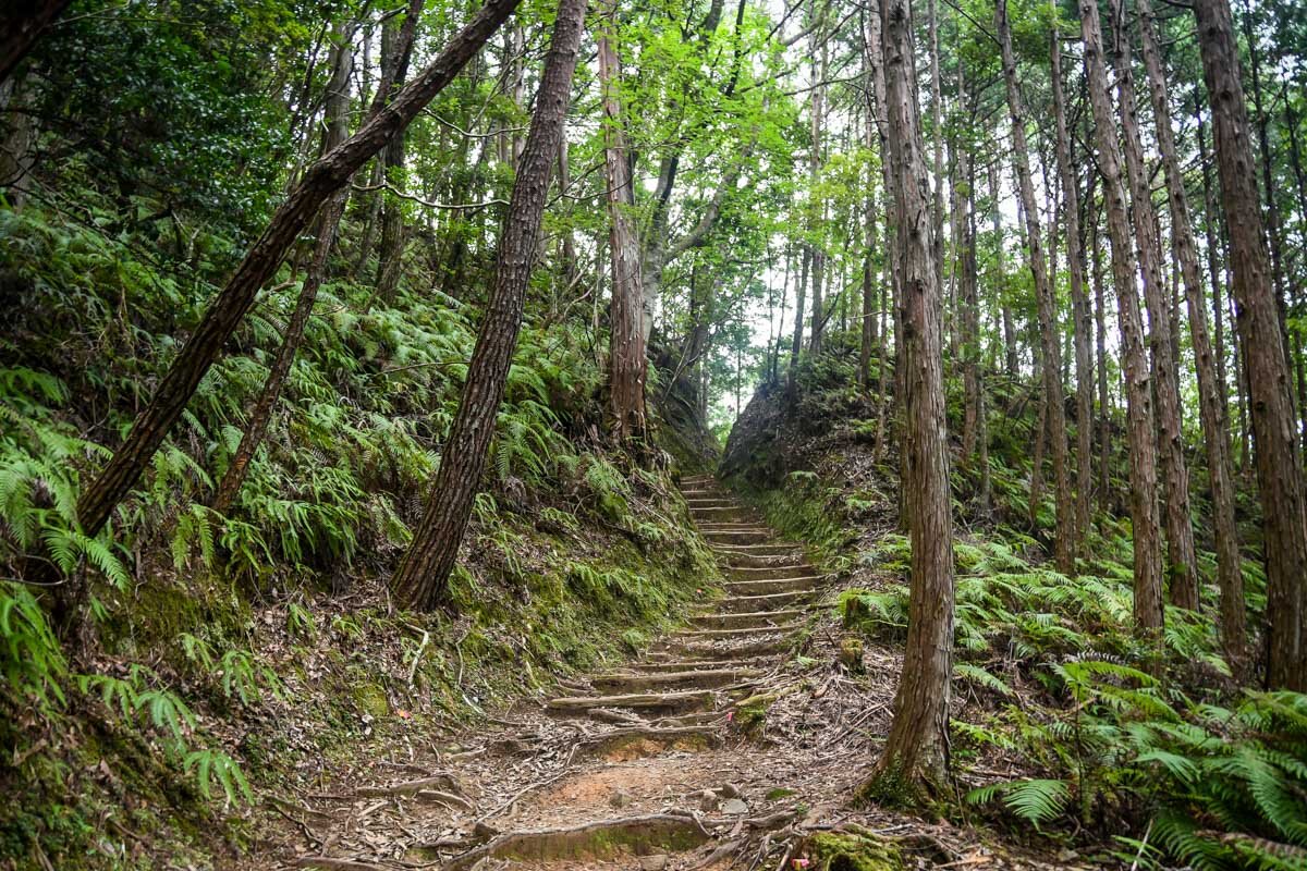 熊野Kodo Trail Steps 