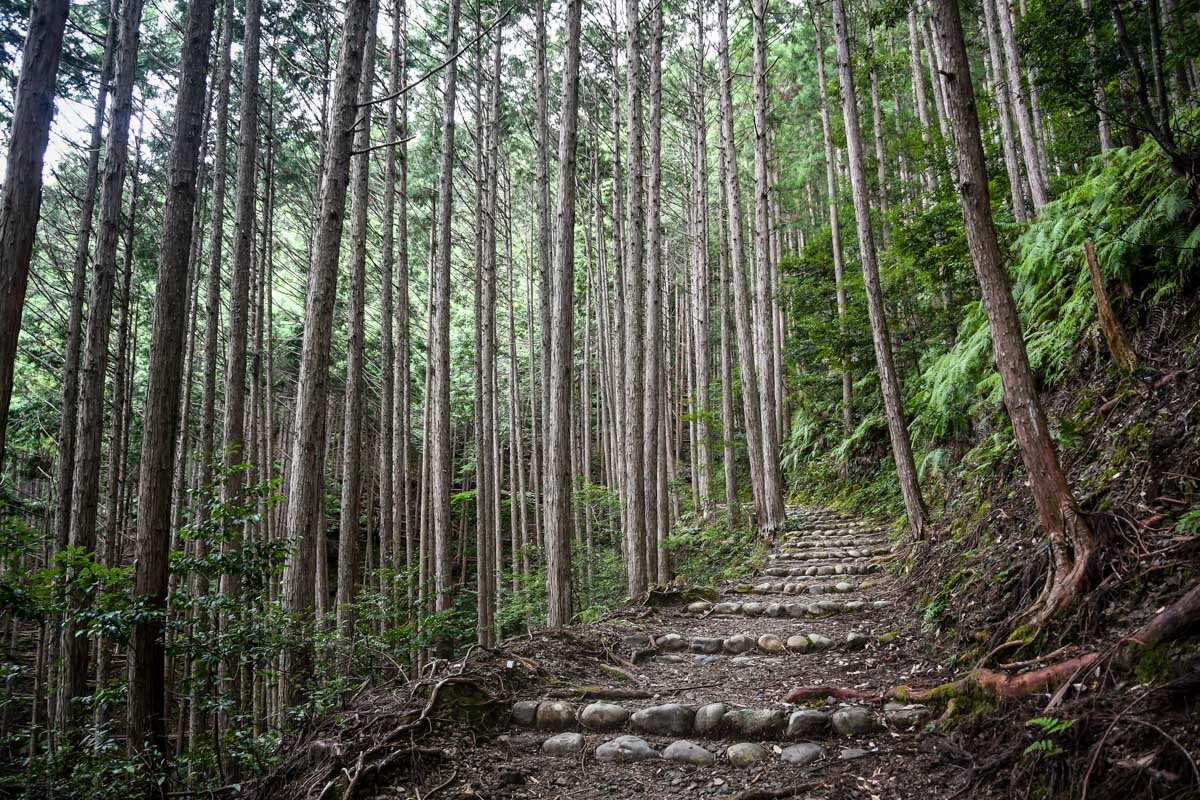 熊野古道石阶