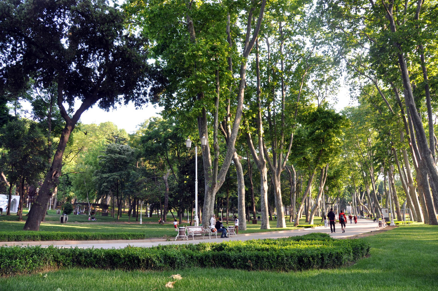 Things to Do in Istanbul | Picnic in Gulhane Park