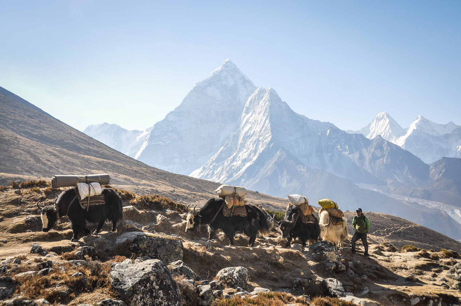 尼泊尔旅游指华体会最新登录网站南关于尼泊尔的事实