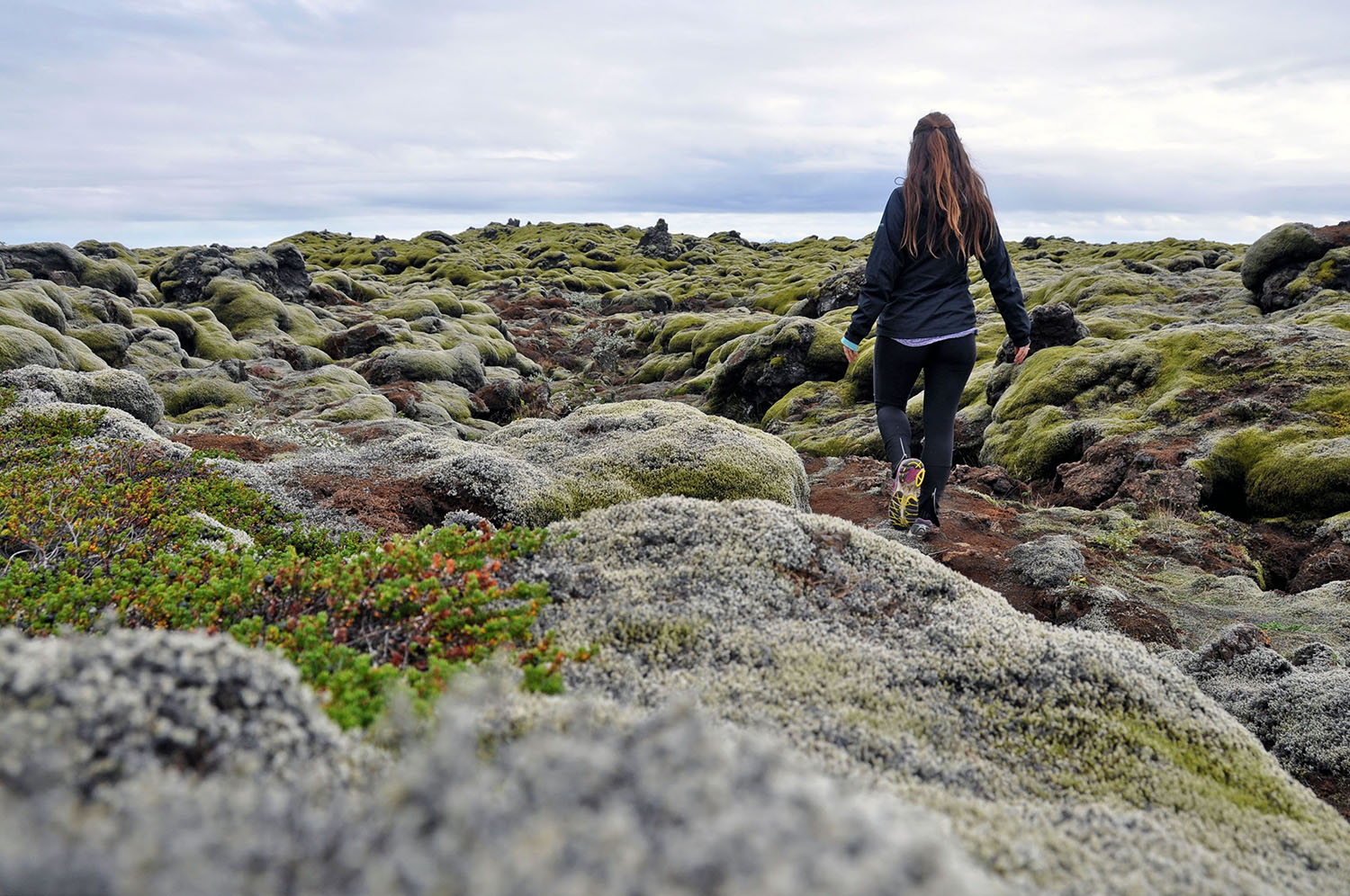 冰岛出租汽车苔藓绿色脆弱的土地