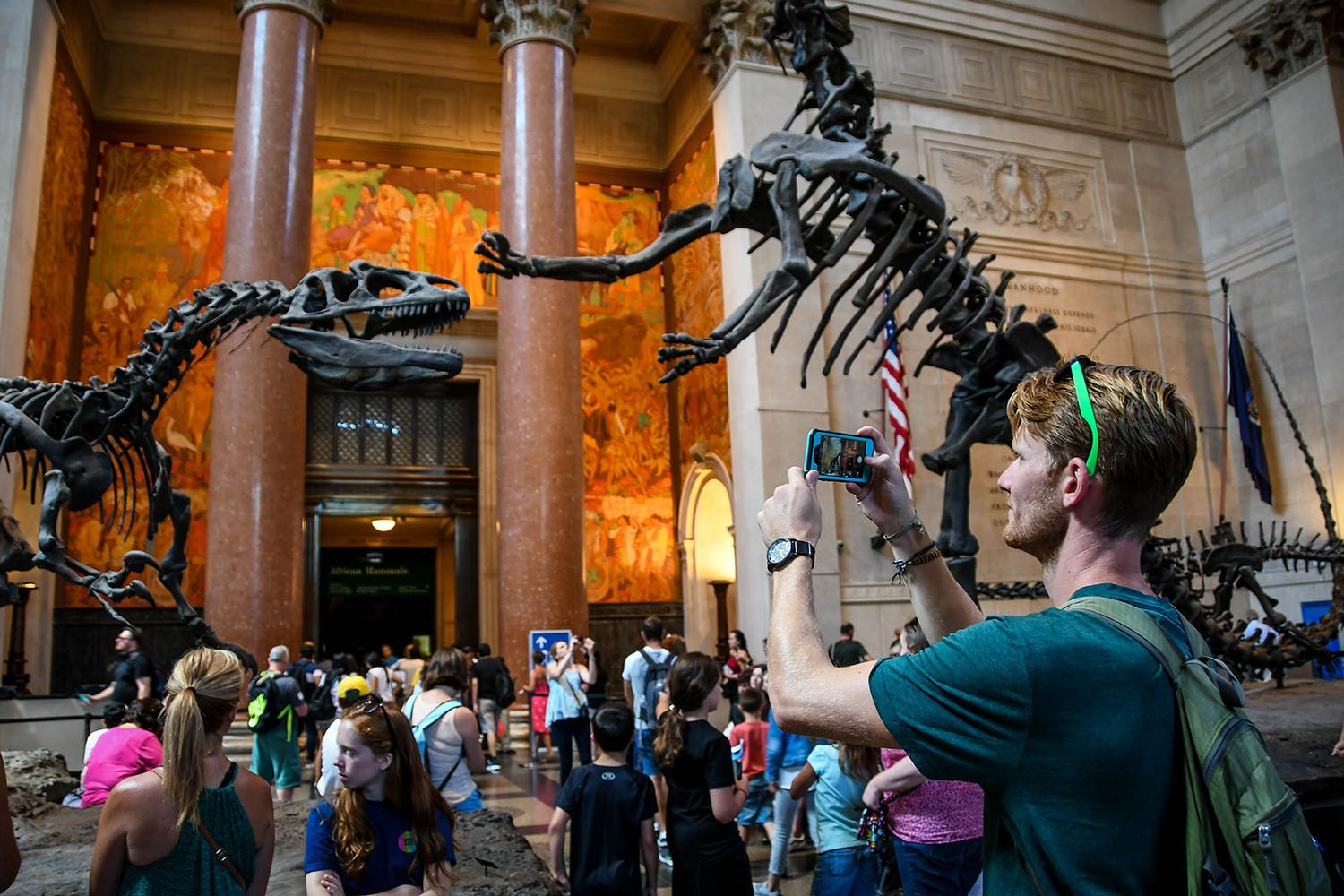 纽约市预算自然历史博物馆
