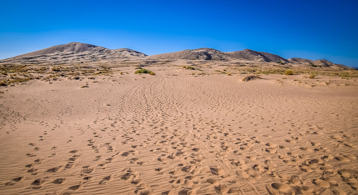 加州最佳沙漠徒步旅行:凯尔索沙丘小径