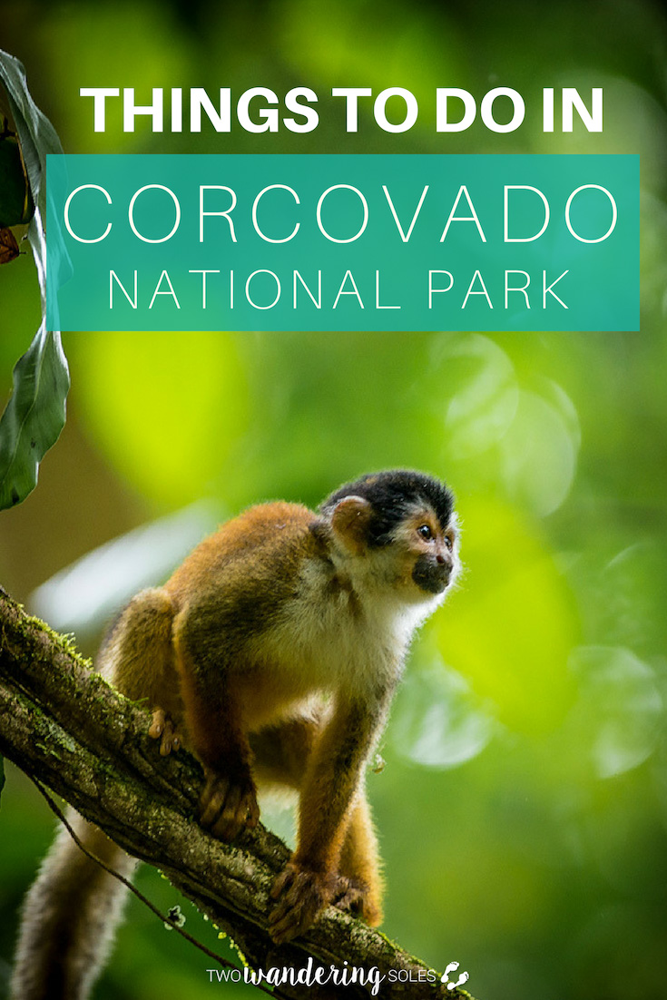 科尔科瓦多国家公园终极指南:在哥斯达黎加最好的秘密要做的事