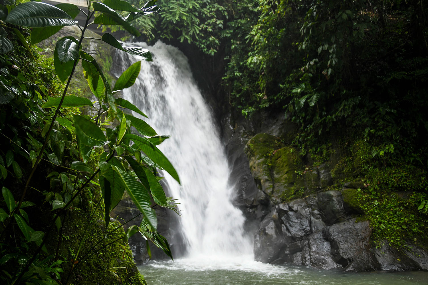 普洱茶to Viejo Travel Guide BriBri Waterfall