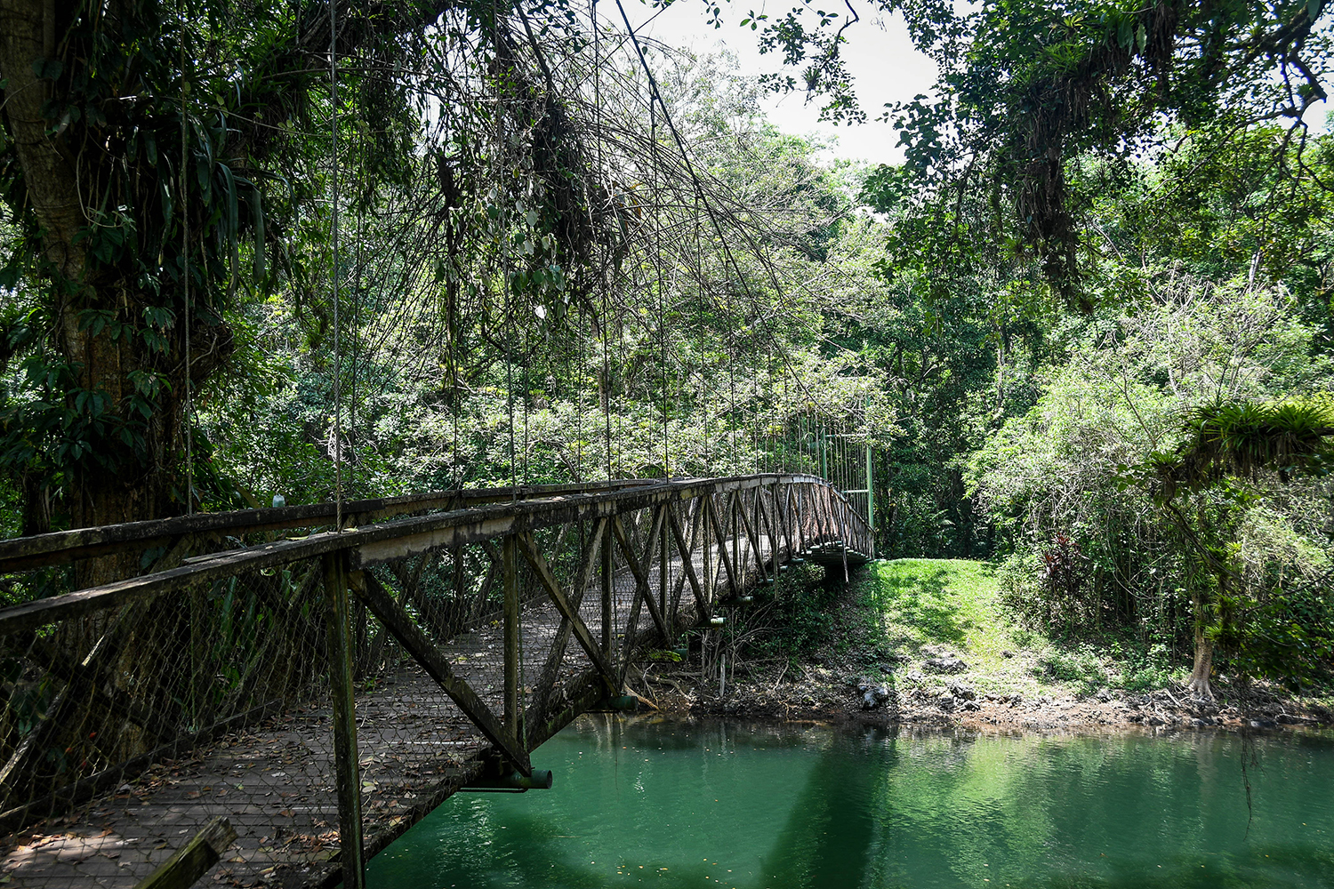 洪都拉斯洛斯纳兰霍斯生态公园约约湖必做之事