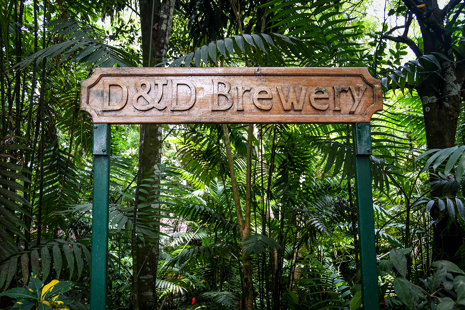 洪都拉斯约约湖D&D啤酒厂必做之事