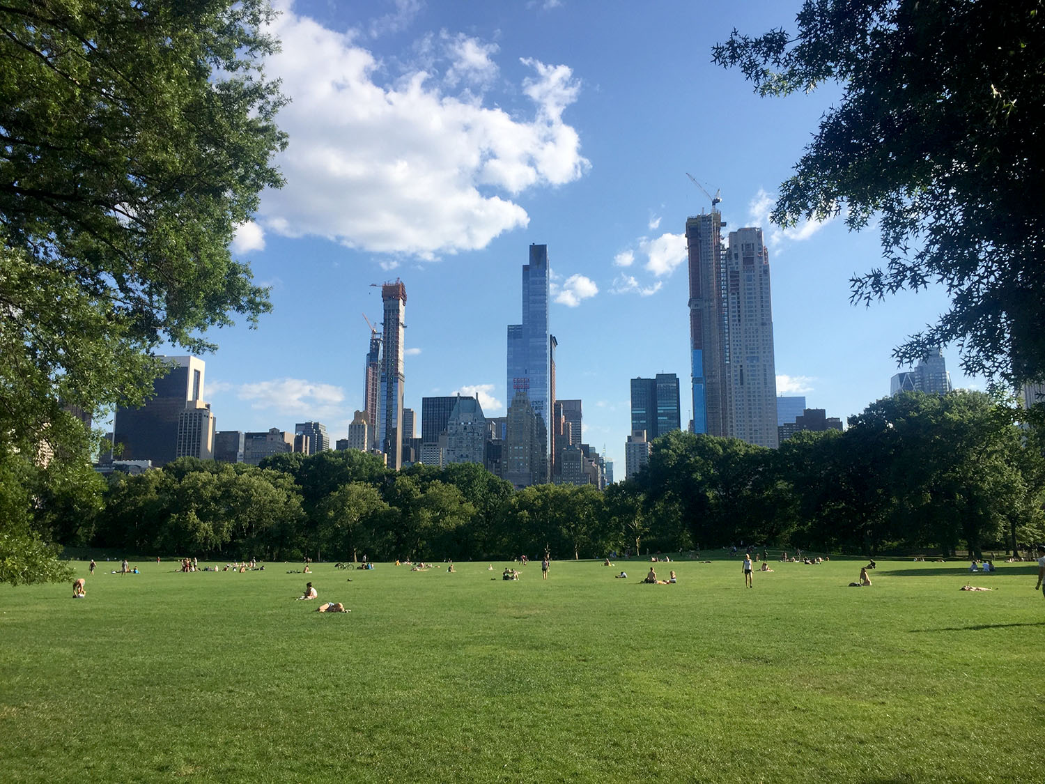 在纽约中央公园绵羊草地要做的事