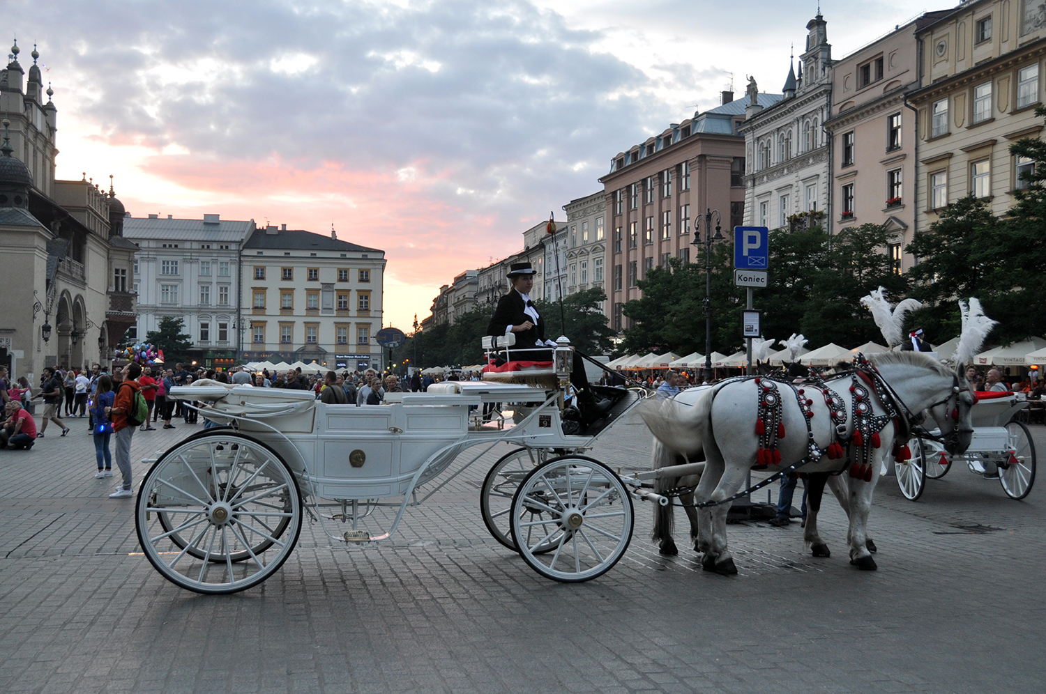在波兰克拉科夫里涅克要做的事情Główny马和马车