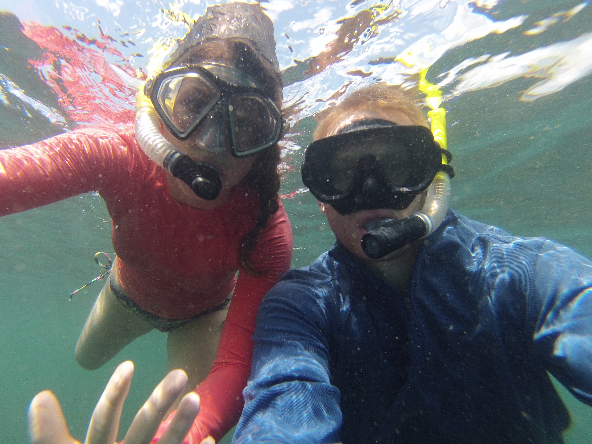 在加拉帕戈斯群岛潜水
