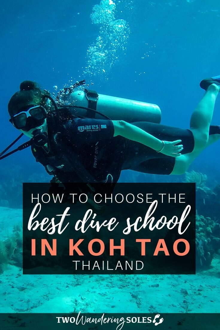 高岛最好的潜水学校