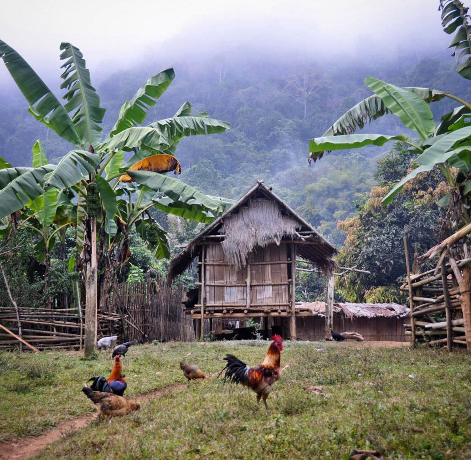 老挝H'mong村民宿