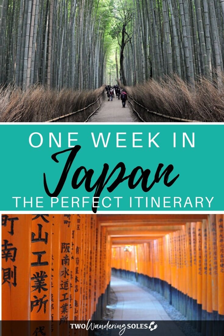 日本狂野一周旅行:完整的7天华体会最新登录网站行程