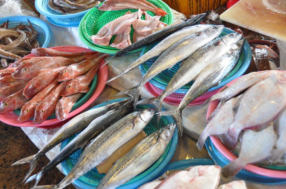 Jakgalchi鱼类市场