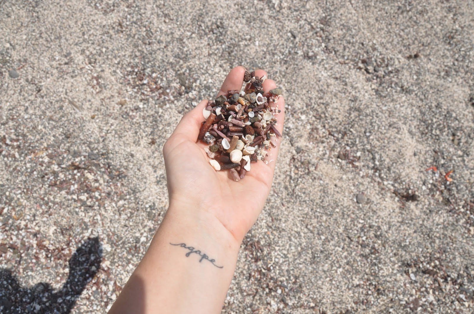 圣克里斯托巴尔岛的沙子是由碎贝壳和海胆组成的