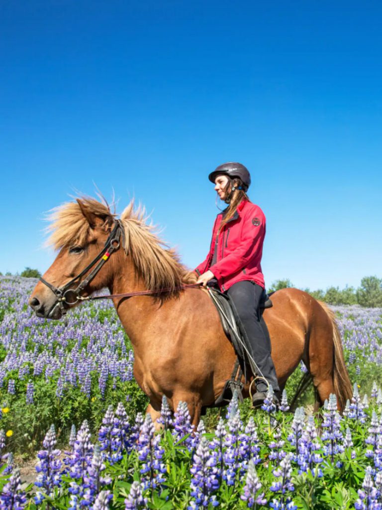 冰岛爱彼迎体验骑马