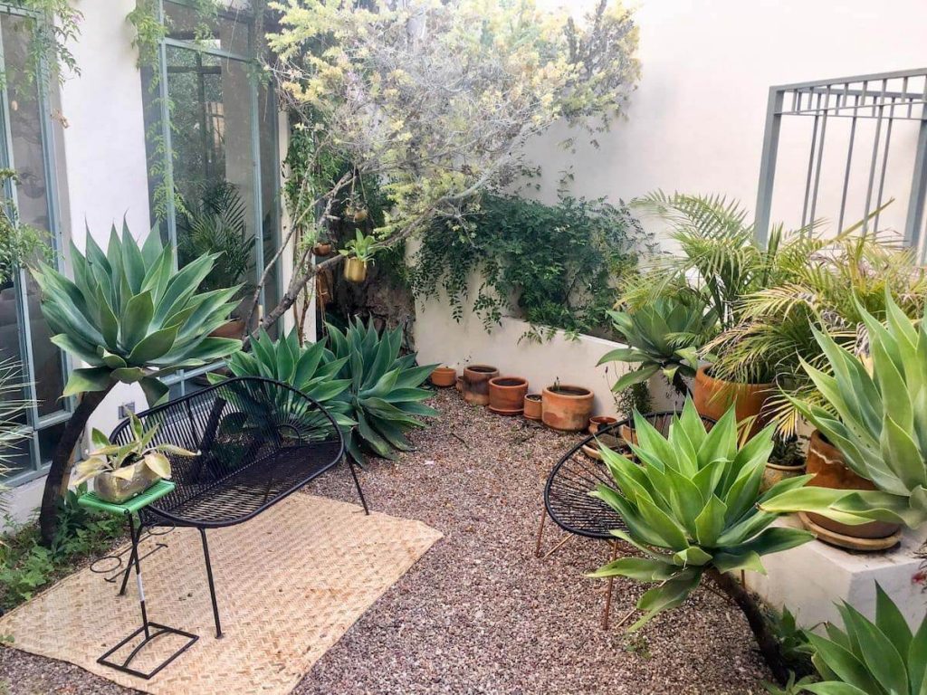 墨西哥Airbnbs | La Casa Boheme在圣米格尔
