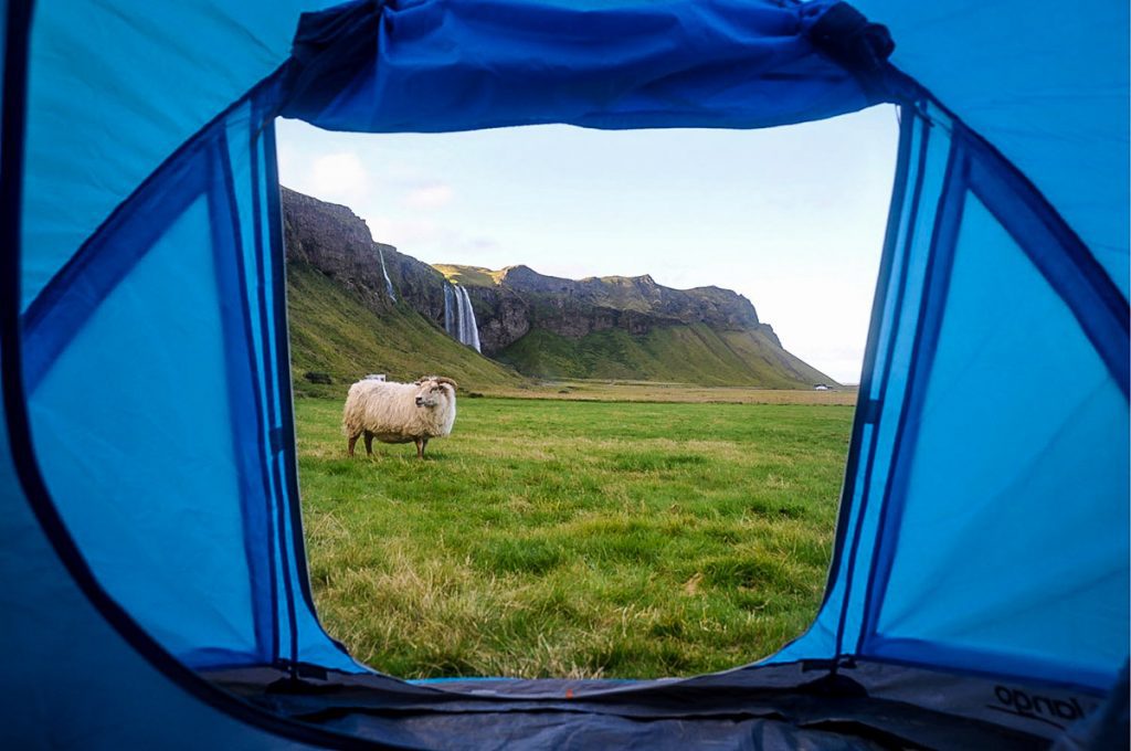冰岛露营